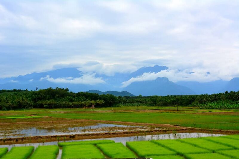 പ്രമാണം:ഗ്രാമം 3.jpeg