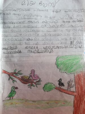 12054-KGD-KUN-Jmiya rose.jpg