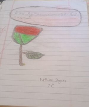 17509-KKD-KUNJ-FATHIMA DIYANA.jpg