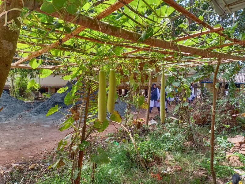 പ്രമാണം:18011 krishi.jpeg