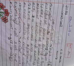 19636-MLP-ANSIFA K P.png