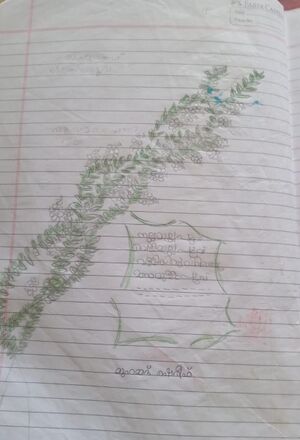 19663-MLP-KUNJ-MUHAMMED SHAREEF.jpg