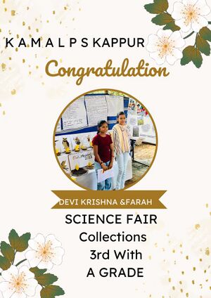 20528 science fair collectoin.jpeg