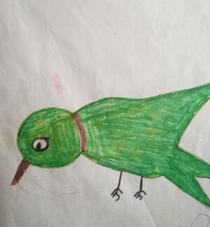 24272-TSR-KUNJ-FATHIMA HUSNA.JPG