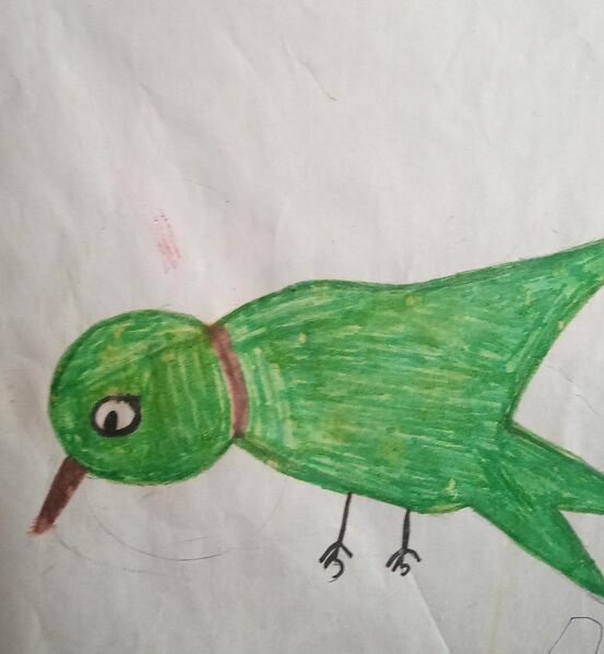 പ്രമാണം:24272-TSR-KUNJ-FATHIMA HUSNA.JPG