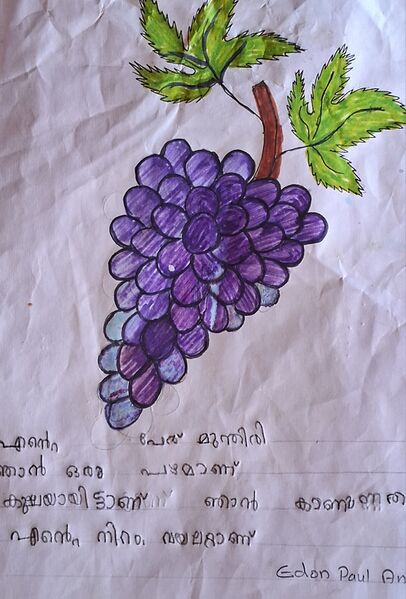 പ്രമാണം:25426. kunju. edon PAUL.jpg