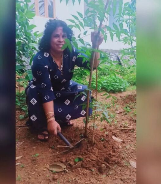 പ്രമാണം:28202 52.jpeg