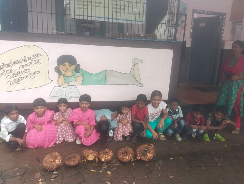 പ്രമാണം:29228 che3.jpg