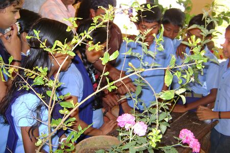 ബഡ്ഡിംഗ്, ഗ്രാഫ്റ്റിംഗ്,ലെയറിങ്ങ് പരിശീലനവും സസ്യപ്രദർശനവും