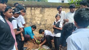 43052 treeplanting.jpg
