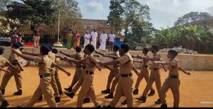 44035 republic day.jpg