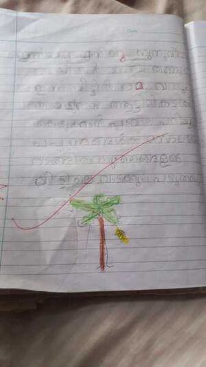 47565-KKD-KUNJ-RASHA FATHIMA.jpg