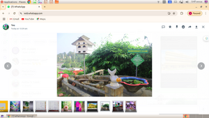 Bio diversity park.png