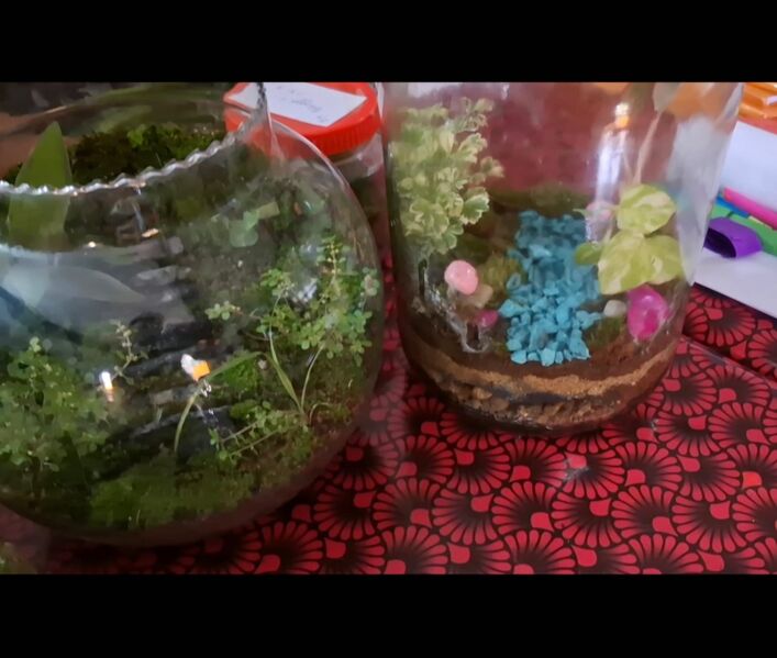 പ്രമാണം:Environment club2025.jpg