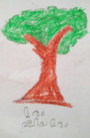 IMG 20240320 111356.jpg