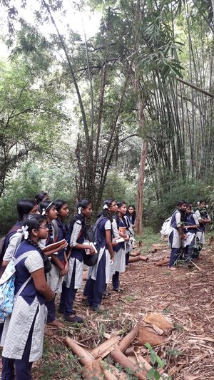 WhatsApp Image 2018-11-15 at 9.02.55 PM.jpeg