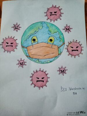 13100-Vaishak K Std 8 SsghssPnr.jpg