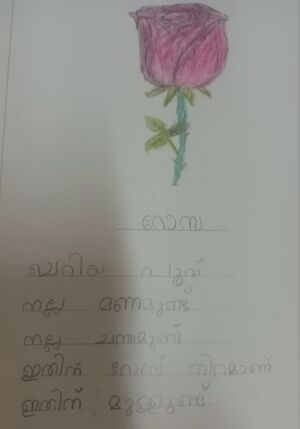 13917-KNR-KUNJ-ZAYAN R-1 C.jpg