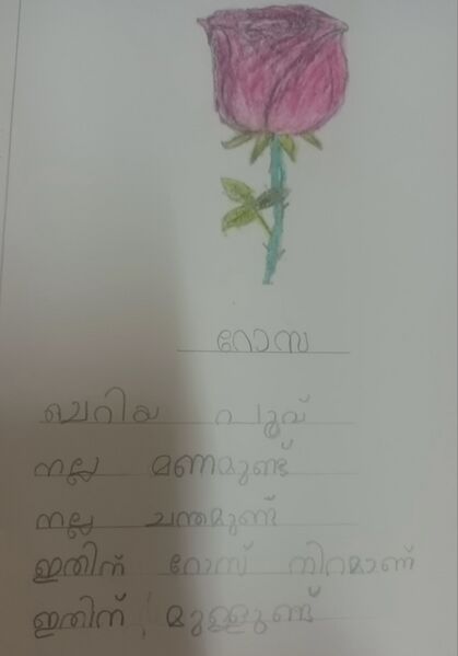 പ്രമാണം:13917-KNR-KUNJ-ZAYAN R-1 C.jpg