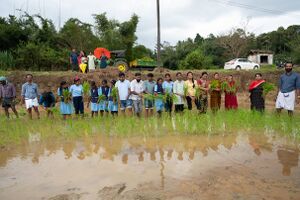 15019 kambalanatti 2.JPG