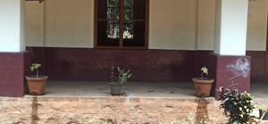 21337 garden20214.jpeg