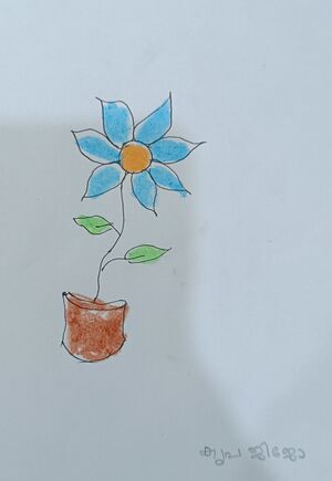 22449-TSR-KUNJ-KRIPA JIJO.jpg