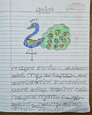 25106-EKM-KUNJ-Aamina Haira.jpeg