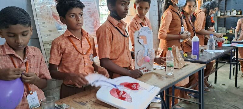 പ്രമാണം:36035 sf2.jpg