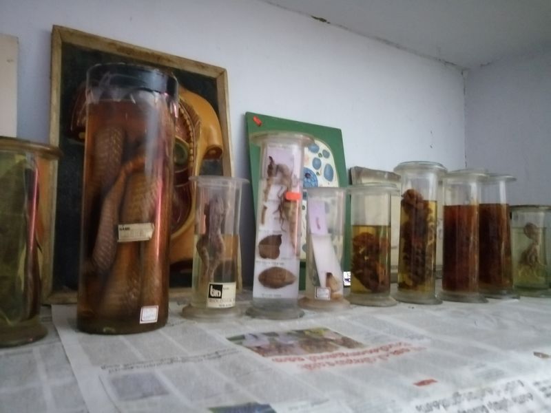 പ്രമാണം:42021 10102.jpg