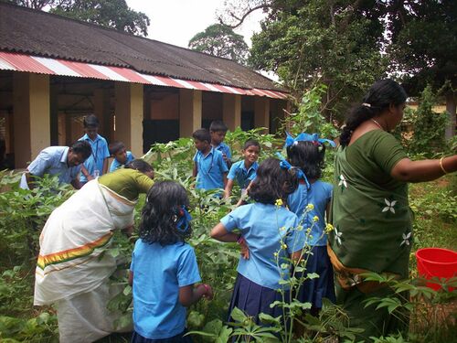 വിളവെടുപ്പുകാലം