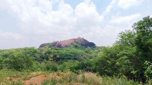 42069 chavarupara siva parvathy temple.jpg