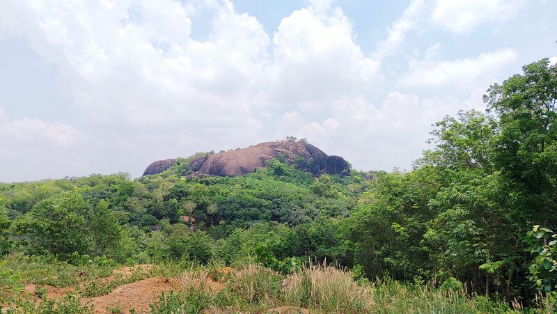 പ്രമാണം:42069 chavarupara siva parvathy temple.jpg