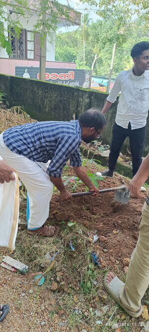 42071 VRIKSHA THAI NADEEL 1.jpg