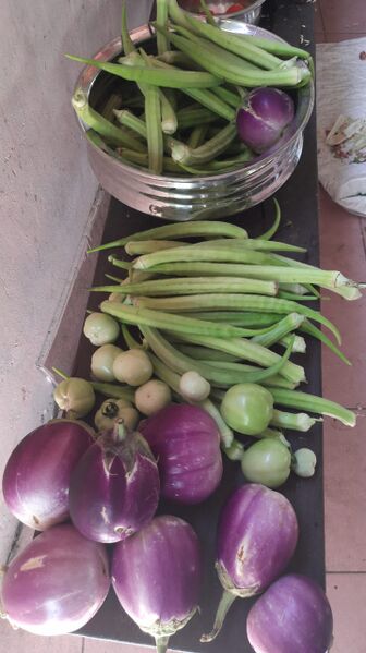 പ്രമാണം:43083 vegetable1.jpg