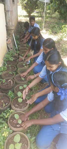 പ്രമാണം:44018 jc 2 2025.jpg