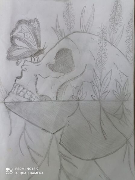 പ്രമാണം:44050 eco 72.jpeg