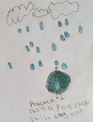 48318-MLP-KUNJ-MUHAMMED SHADIN.jpg