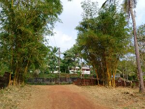 IMG 20240118 161546(2).jpg