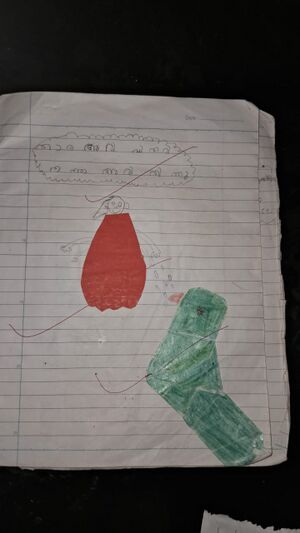 11469-KGD-KUNJ-MOHAMMED SHAHZAN.jpg