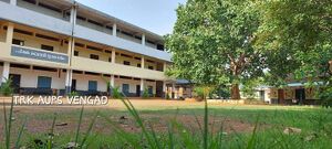 18670 trkaups vengad.jpeg