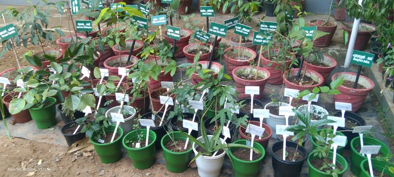 പ്രമാണം:37001 ecoclub1.jpg