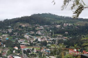 WhatsApp Image 2019-11-03 at 9.16.32 PM.jpeg