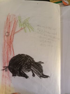 16838 kkd 1A Sachithra Pusthakam picture3.jpeg