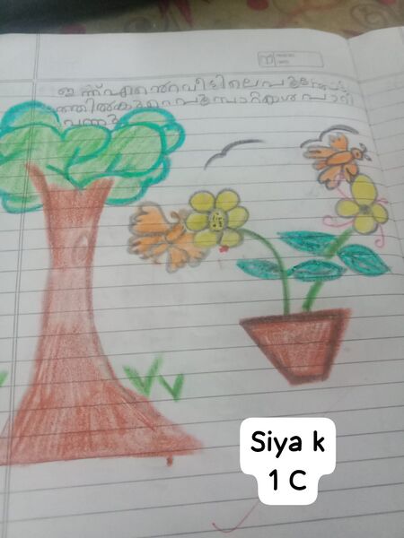 പ്രമാണം:17263-KKD-KUNJ-SIYA 1 C.jpg