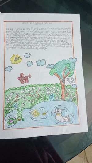 18641-MLP-KUNJ-RIFA C 1 D.jpeg