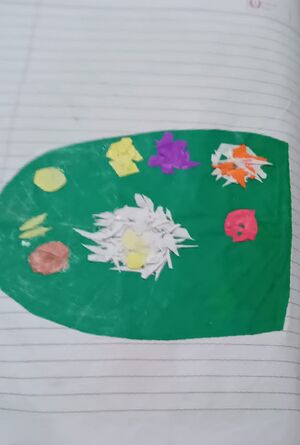 19864 mlp Afraa fathima.jpg