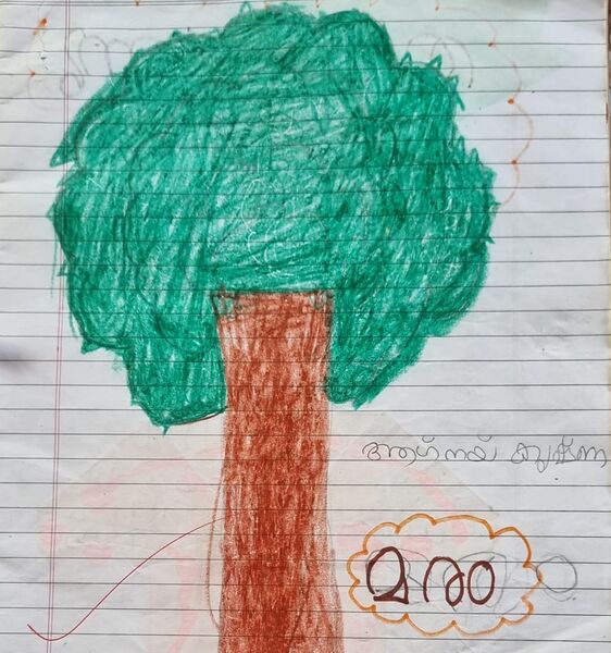 പ്രമാണം:20660-pkd-Agneykrishna .jpeg