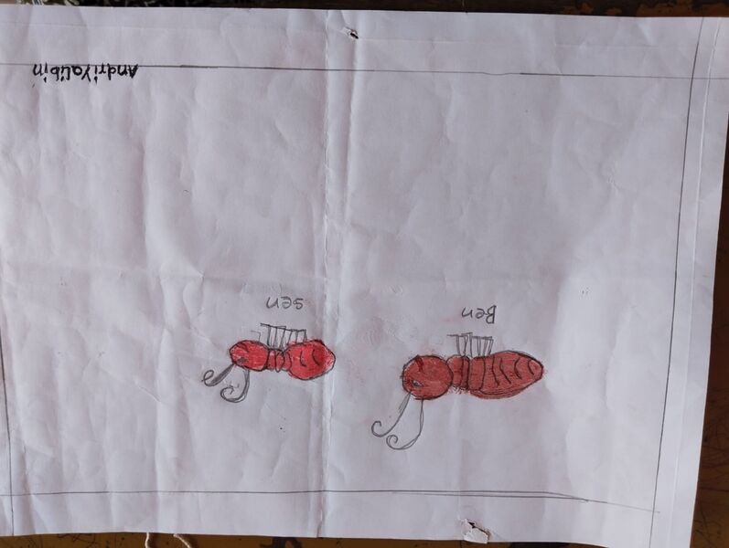 പ്രമാണം:22627-TSR-KUNJ-ANDRIYA LIBIN.jpeg