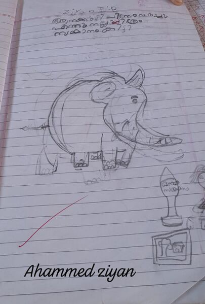 പ്രമാണം:24538-TSR-KUNJ-AHAMED ZIYAN.jpeg