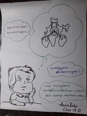 25037 Anvin Baby 9D.jpeg